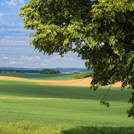 Lejlighed Chalet-apartement In Ehemaliger Hofraite