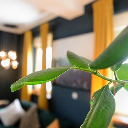 Lejlighed Chalet-apartement In Ehemaliger Hofraite